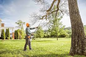 Best Pest Control for Lawns  in Waskom, TX