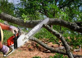 Best Lawn Grading and Leveling  in Waskom, TX