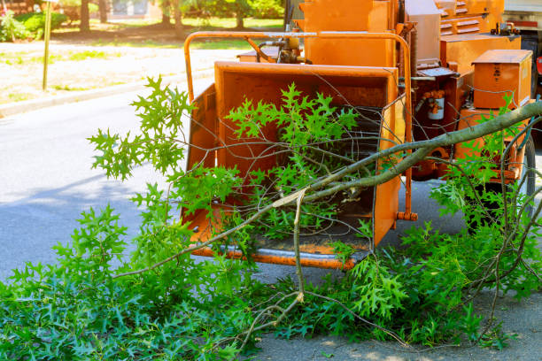 Best Landscape Design and Installation  in Waskom, TX