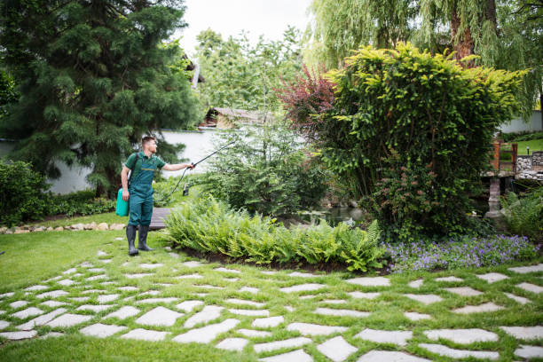 Best Tree Preservation Services  in Waskom, TX