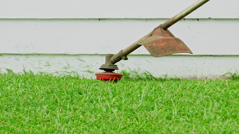 Best Weed Control  in Waskom, TX