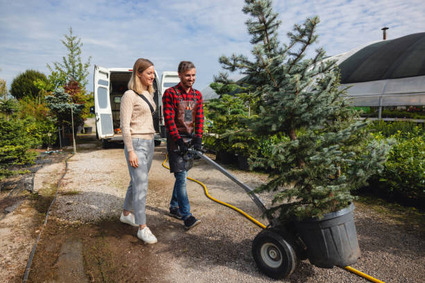 Best Stump Grinding and Removal  in Waskom, TX