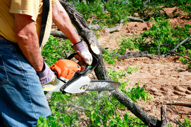 Best Soil Testing and Treatment  in Waskom, TX